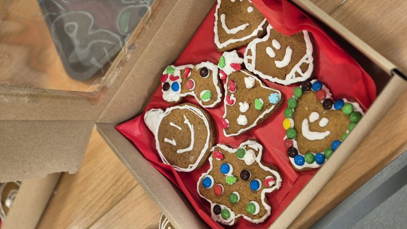 Zestaw kreatywnie udekorowanych pierniczków w pudełku