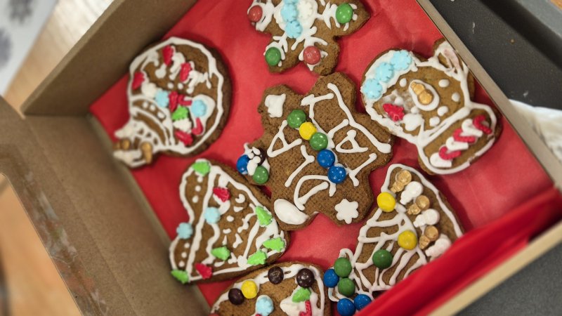 Zestaw świątecznych pierników korzennych zdobionych lukrem w pudełku